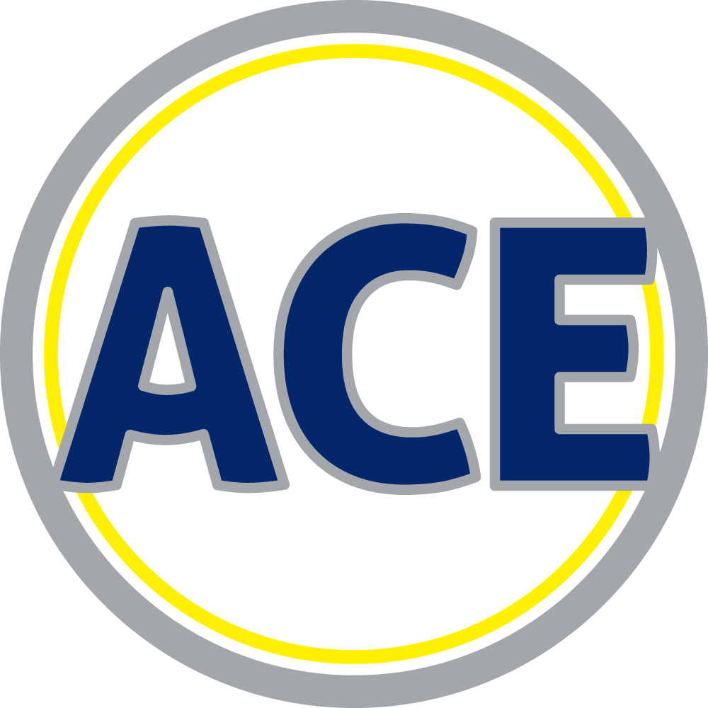 Ace Volleyball Lab